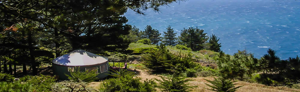 An image of a yurt in trees